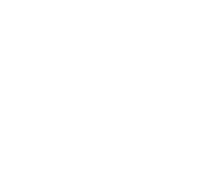 Dispatch Dudes